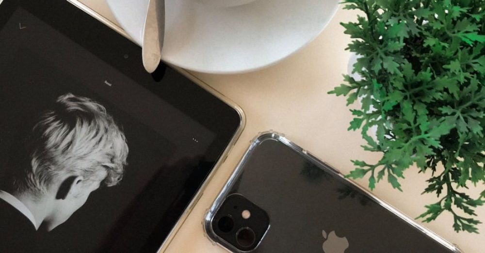 How Do You Transition Your Pet to a New Food?