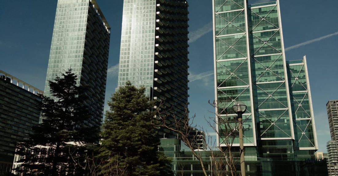 How Do You Choose Pet-friendly Accommodations?