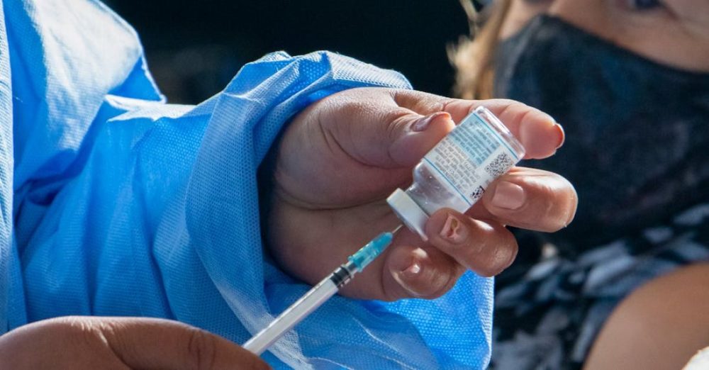 How Do Vaccinations Protect Your Pet?