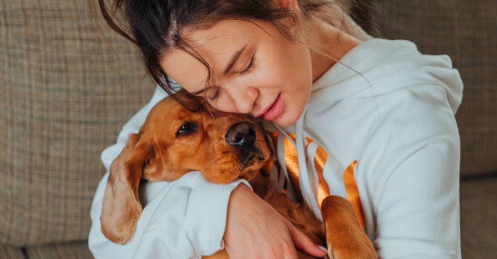 What Are the Best Breeds for First-time Pet Owners?