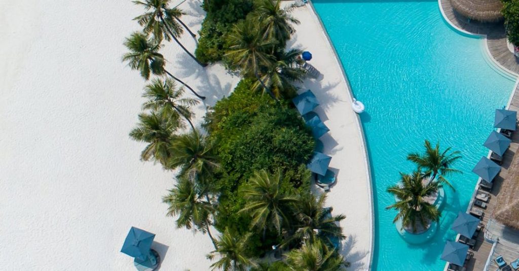 Territories - Aerial drone shot of exotic resort with empty hotel territory with green palms and blue swimming pool with sunbeds in sunlight