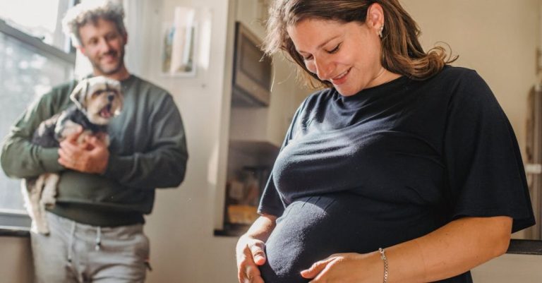 Healthy Pet - Cheerful adult pregnant woman feeling child moving while touching belly and husband smiling while standing with dog near window in apartment